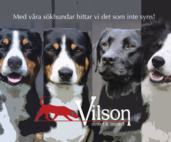 Vilson